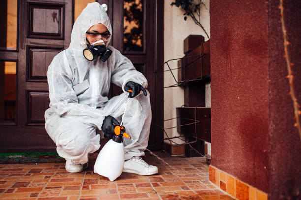 Reliable Bed Bug Control contractor in Alta Sierra, CA by Nex Pest Control