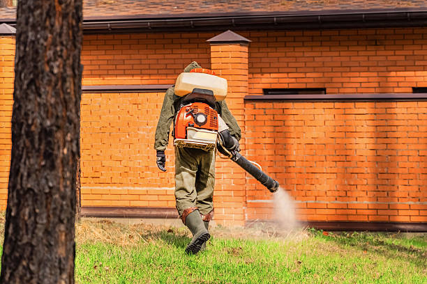 Trusted Fumigation Services service in Alta Sierra, CA - Nex Pest Control